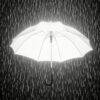 Umbrella In Darkness