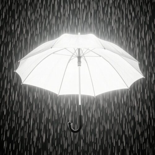 Umbrella In Darkness Umbrella In Darkness