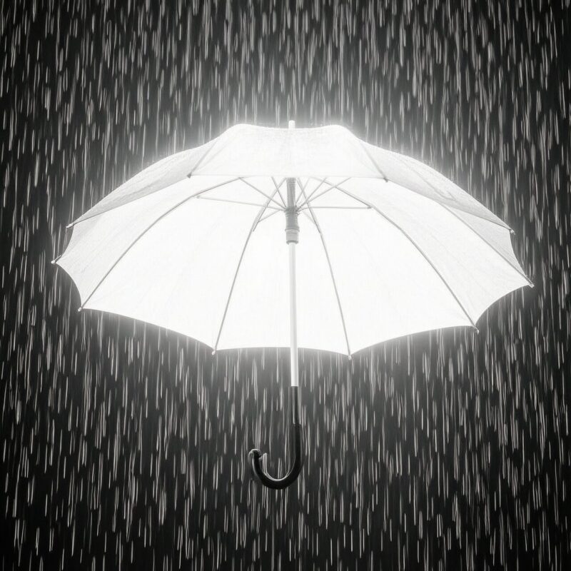 Umbrella In Darkness