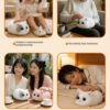 imgextra-i4-2200732049980-O1CN01zXBOEK2NatqnDGdOl_2200732049980 — English Walulu Interactive Cat Plush AI Toy with Bluetooth 5.5