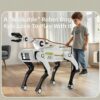 imgextra-i3-2218611656447-O1CN01Uv9JTj1xUmZFQDrRD_2218611656447 — English — English Remote Control AI Robot Dog Toy with Voice Chat and Programmable Actions
